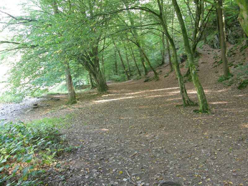 photo 10 promenade  Ourthe Nadrin Houffalize